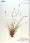 000021602-thumbnail.jpg