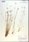 000021603-thumbnail.jpg