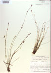 000021604-thumbnail.jpg