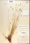 000021606-thumbnail.jpg