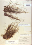 000021607-thumbnail.jpg