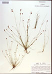 000021608-thumbnail.jpg