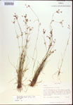 000021609-thumbnail.jpg
