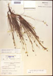 000021610-thumbnail.jpg