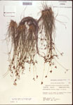 000021611-thumbnail.jpg