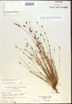 000021612-thumbnail.jpg