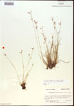 000021613-thumbnail.jpg