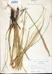 000021666-thumbnail.jpg