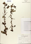000021777-thumbnail.jpg