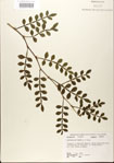 000021780-thumbnail.jpg
