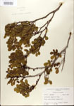 000021786-thumbnail.jpg