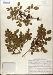 000021790-thumbnail.jpg