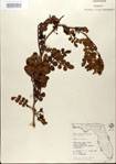 000021791-thumbnail.jpg