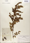 000021792-thumbnail.jpg
