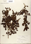000021793-thumbnail.jpg