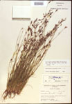 000021798-thumbnail.jpg