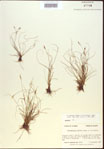 000021799-thumbnail.jpg