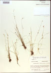 000021800-thumbnail.jpg