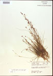 000021801-thumbnail.jpg