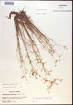 000021802-thumbnail.jpg
