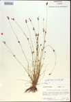 000021803-thumbnail.jpg