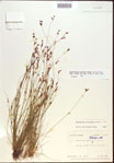 000021804-thumbnail.jpg