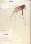 000021805-thumbnail.jpg