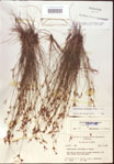 000021806-thumbnail.jpg