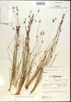 000021807-thumbnail.jpg