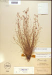 000021808-thumbnail.jpg