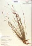 000021809-thumbnail.jpg
