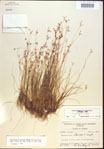 000021810-thumbnail.jpg