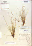 000021811-thumbnail.jpg