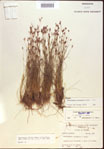 000021812-thumbnail.jpg
