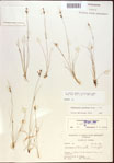 000021813-thumbnail.jpg