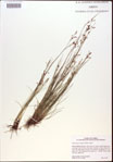 000021814-thumbnail.jpg