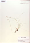 000021815-thumbnail.jpg