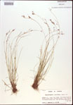 000021816-thumbnail.jpg
