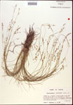 000021817-thumbnail.jpg