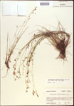 000021818-thumbnail.jpg