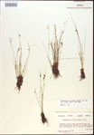 000021819-thumbnail.jpg