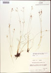 000021820-thumbnail.jpg