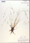 000021821-thumbnail.jpg