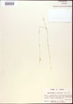 000021822-thumbnail.jpg