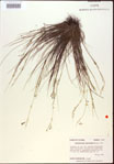 000021823-thumbnail.jpg