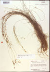 000021824-thumbnail.jpg