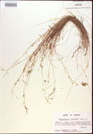 000021825-thumbnail.jpg