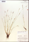 000021826-thumbnail.jpg