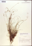 000021827-thumbnail.jpg