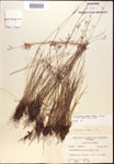 000021828-thumbnail.jpg